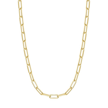 Ania Haie Gold Medium Chain Necklace