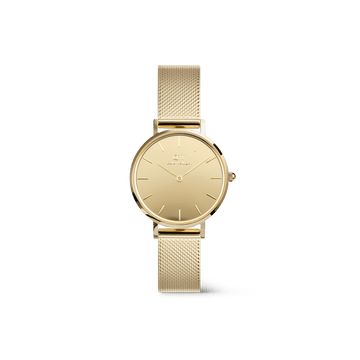Daniel Wellington Petite Reflection Gold Watch