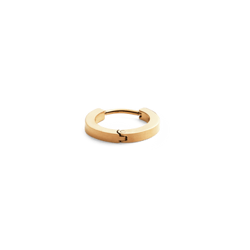 Daniel Wellington Hoop Earring Gold